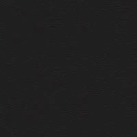 P2 EUROLINE 9100 (Черный)