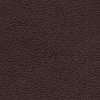 CONSUL-Bicolore-Oxblood-6030-R10B